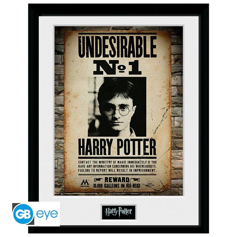 Harry Potter - Undesirable No 1 Frame (30x40)